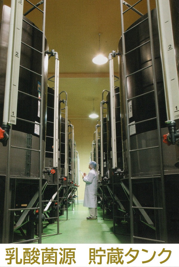 【乳酸菌 ラテリア】プラチナ(白金)ナノコロイド配合 500mL