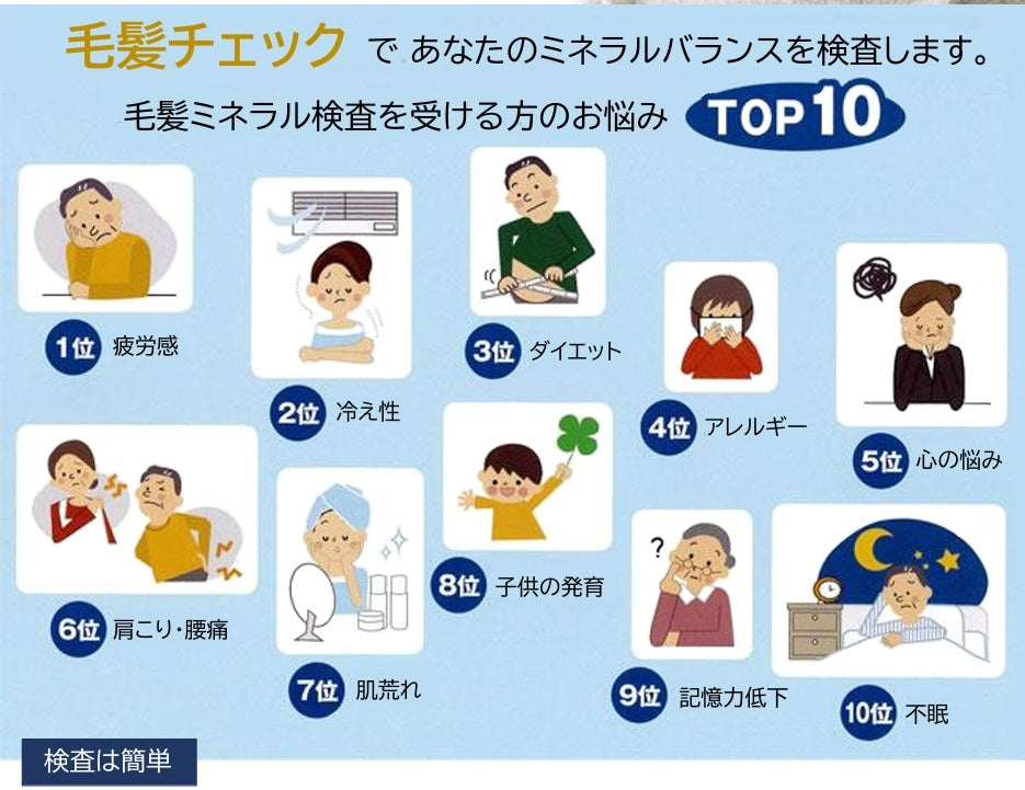 毛髪ミネラル検査29元素（ら・べるびぃ社製）