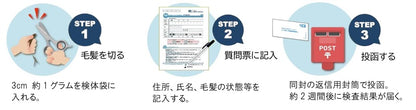 毛髪ミネラル検査29元素（ら・べるびぃ社製）