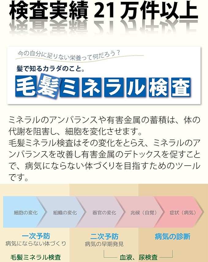 毛髪ミネラル検査29元素（ら・べるびぃ社製）
