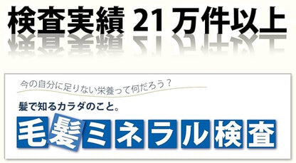 （2回目）毛髪ミネラル検査 29元素