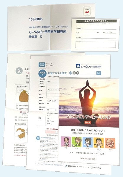 （2回目）毛髪ミネラル検査 29元素