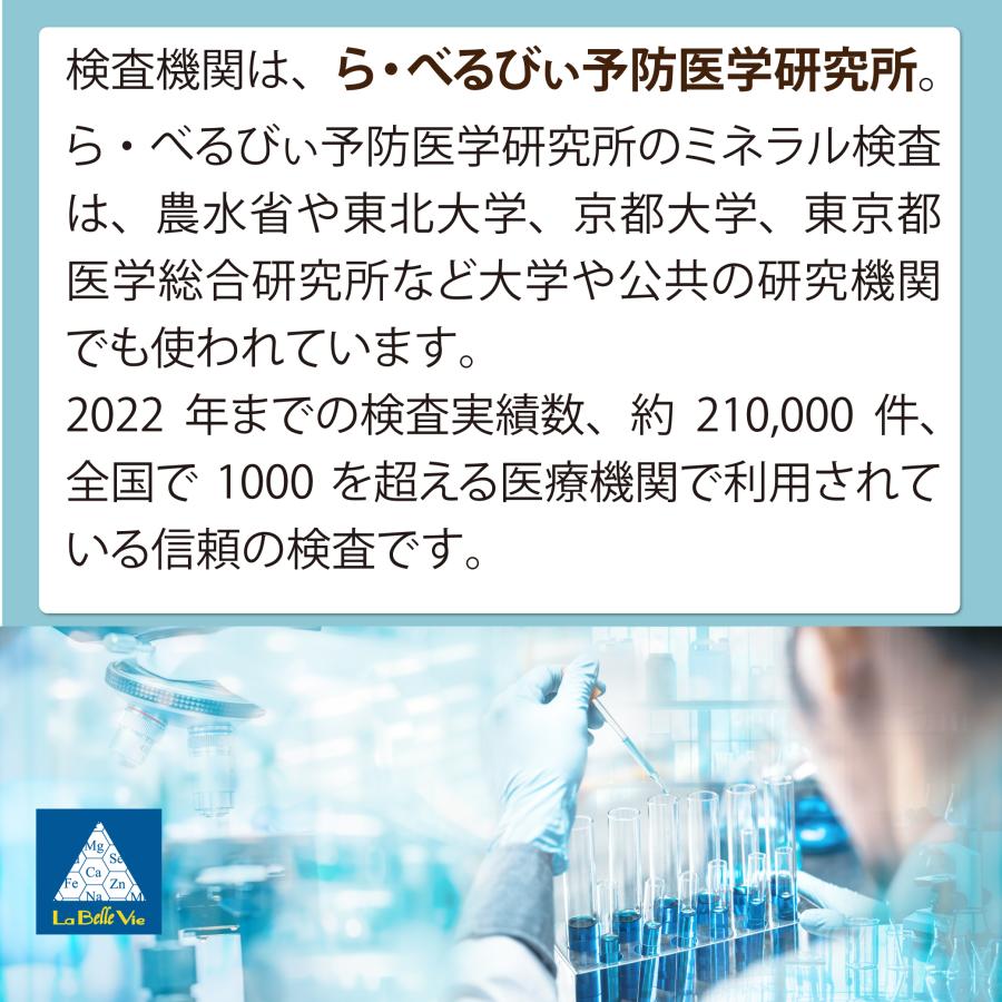 毛髪ミネラル検査29元素（ら・べるびぃ社製）