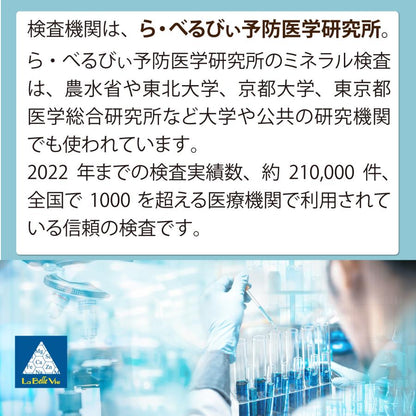 毛髪ミネラル検査29元素（ら・べるびぃ社製）